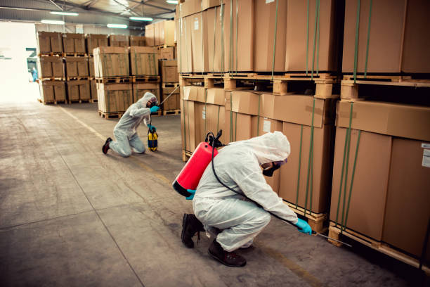 Best Exterminator Services  in Melwood, MD