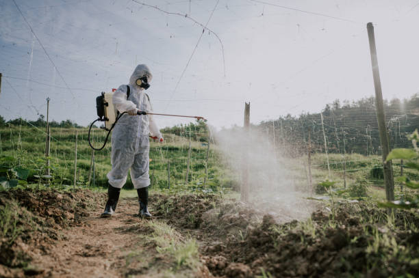 Best Ant Control Services  in Melwood, MD