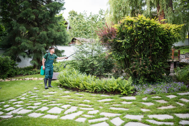 Best Pest Prevention Services  in Melwood, MD