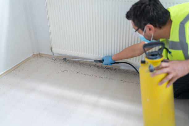 Best Pest Prevention Services  in Melwood, MD