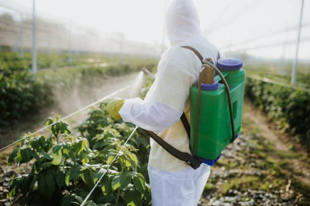 Wasp Removal Services in Melwood, MD